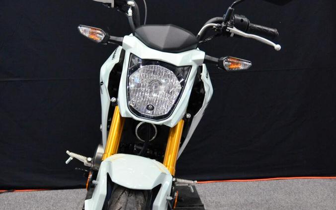2026 Kawasaki Z125 PRO