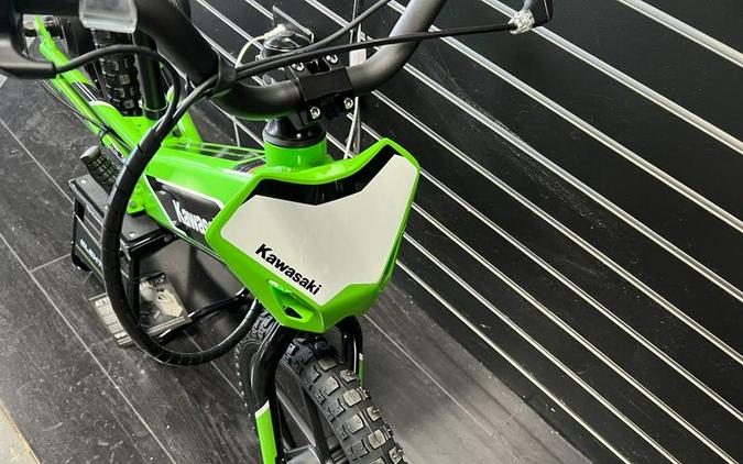 2023 Kawasaki Electrode