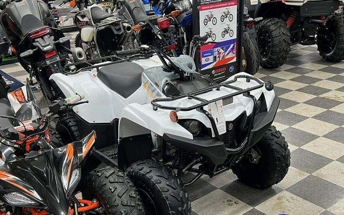 2024 Yamaha Grizzly 90