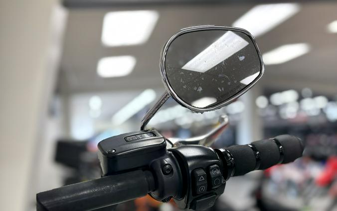 2018 Harley-Davidson® Softail Slim® FLS - UO5056