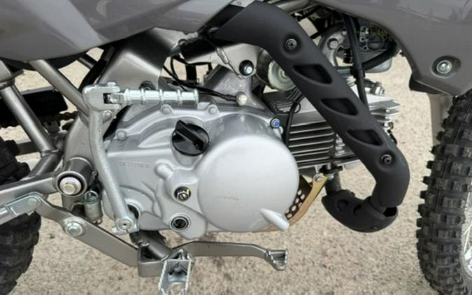 2025 Kawasaki KLX110R