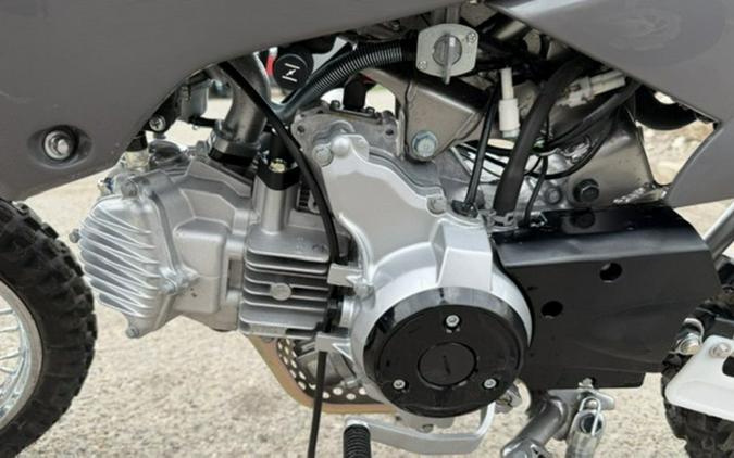 2025 Kawasaki KLX110R