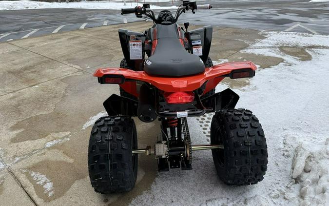 2026 Can-Am DS 250