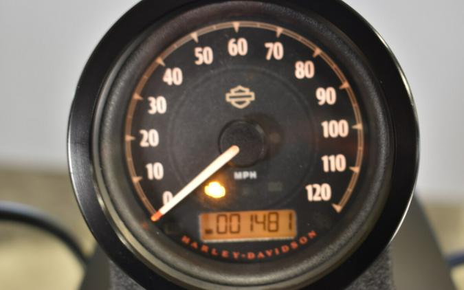 2022 Harley-Davidson Iron 883 XL 883N