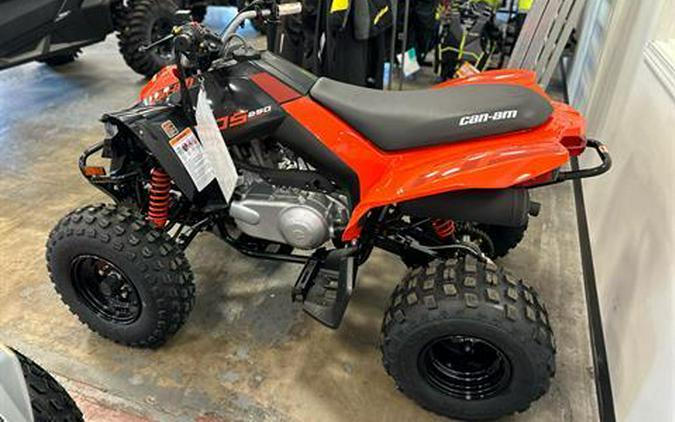 2024 Can-Am DS 250