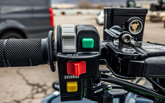 2025 Kawasaki Brute Force 300