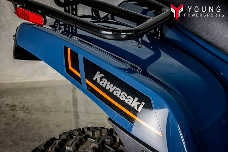 2025 Kawasaki Brute Force 300