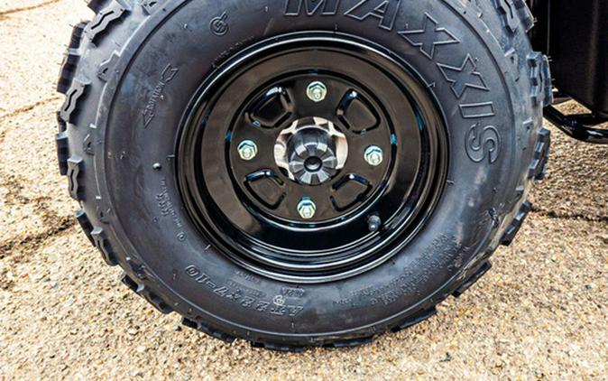 2025 Kawasaki Brute Force 300