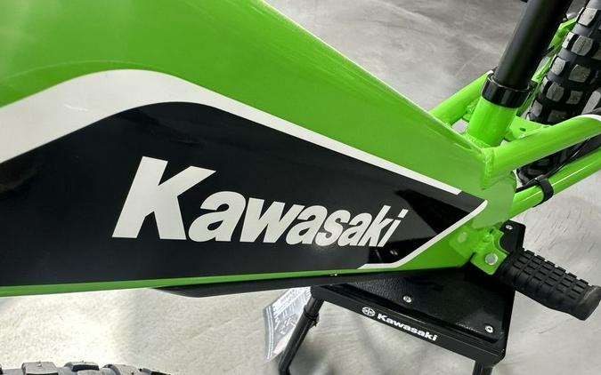 2023 Kawasaki ELEKTRODE