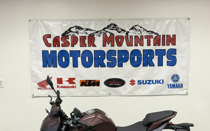 2023 QJ Motor SRK 700 - QJ9465