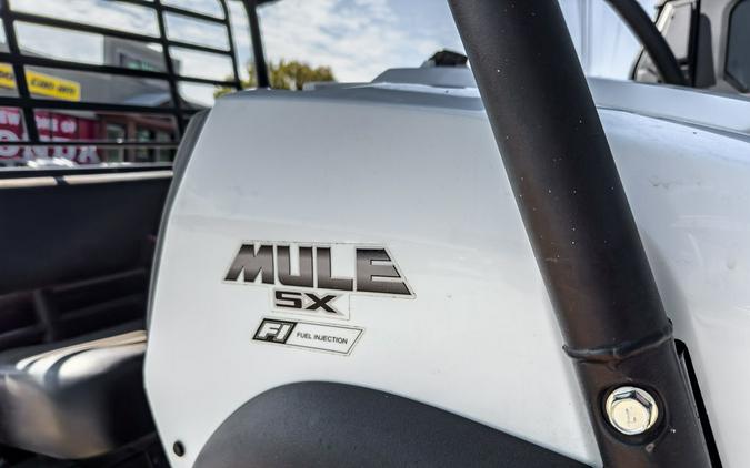 2020 Kawasaki Mule SX™ 4x4 SE FI