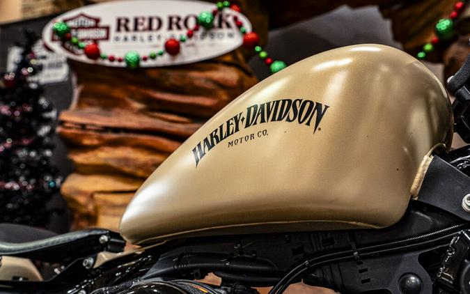 2022 Harley-Davidson Iron 883