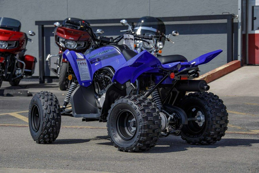 2025 Yamaha Raptor 110