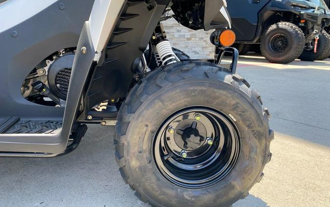 2027 Kawasaki KFX 50