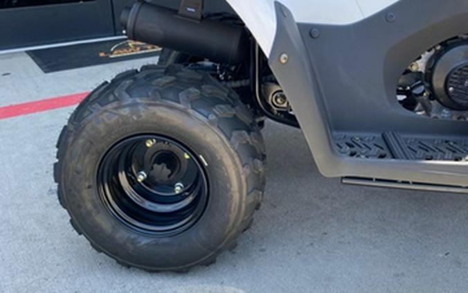 2027 Kawasaki KFX 50