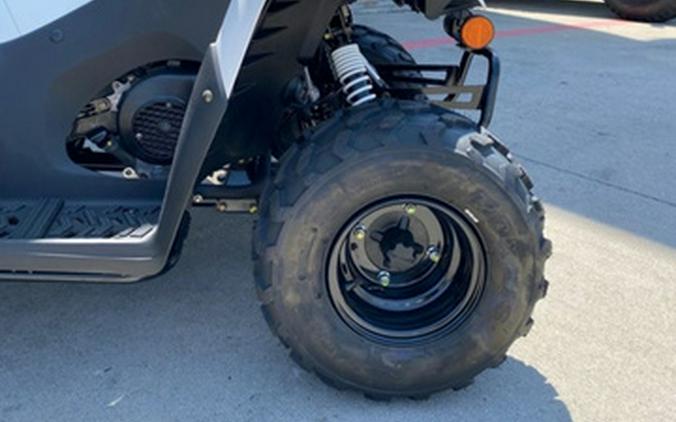 2027 Kawasaki KFX 50