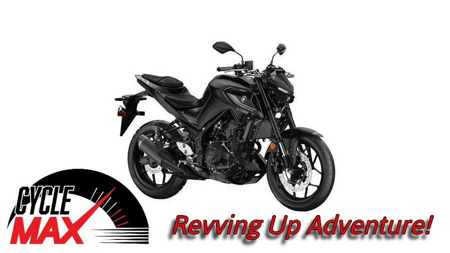 2024 Yamaha MT 03