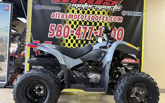 2025 Polaris Phoenix 200