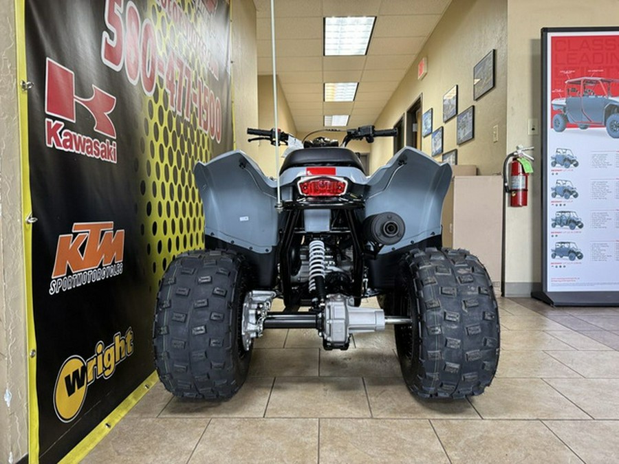 2025 Polaris Phoenix 200