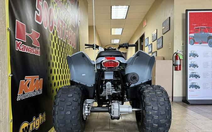 2025 Polaris Phoenix 200