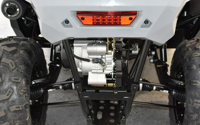 2026 Polaris RZR 200 EFI