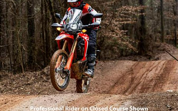 2023 Honda CRF300L Rally