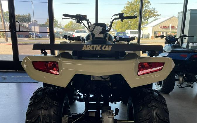 2023 Arctic Cat Alterra 300