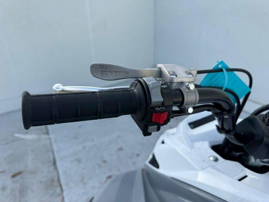 2026 Yamaha Raptor 700