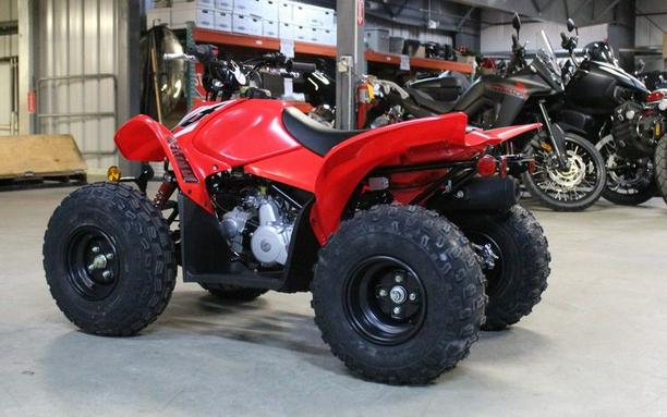 2026 Honda TRX® 90X