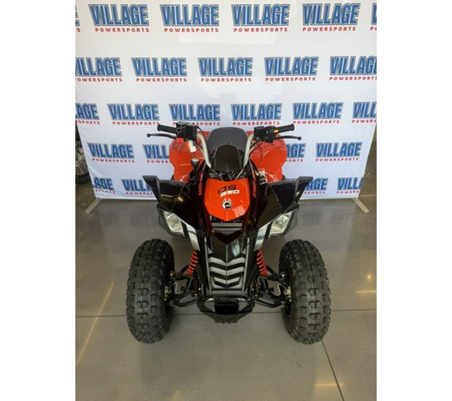 2026 Can-Am DS 250