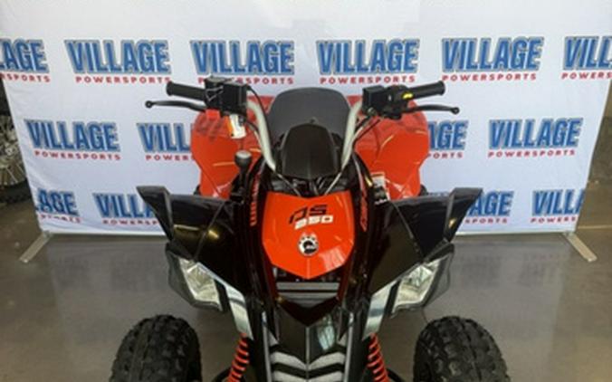 2026 Can-Am DS 250