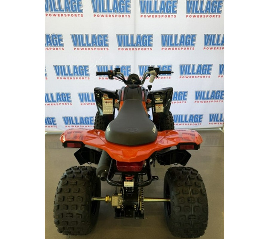 2026 Can-Am DS 250