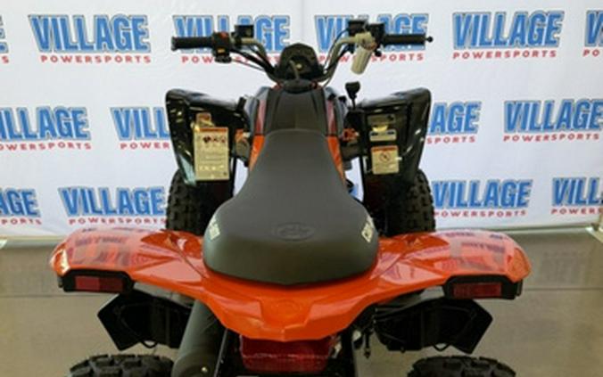 2026 Can-Am DS 250