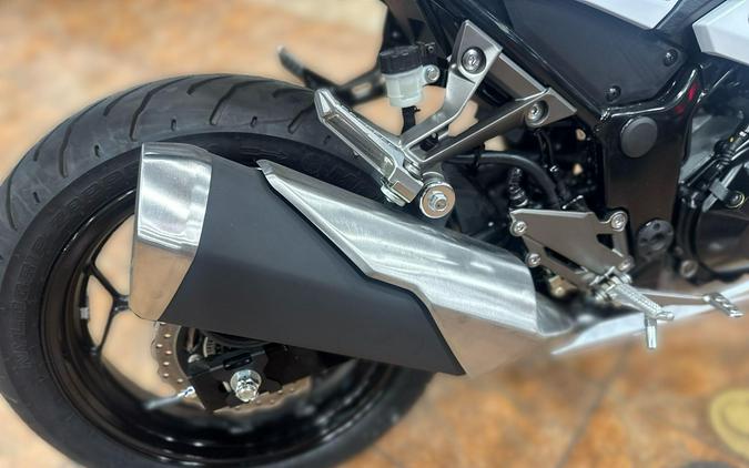 2026 Kawasaki NINJA 300 ABS