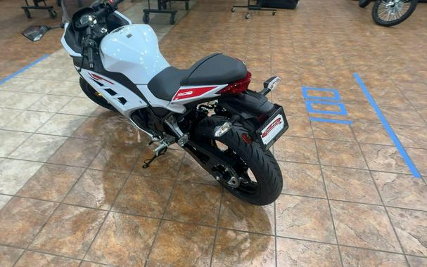 2026 Kawasaki NINJA 300 ABS