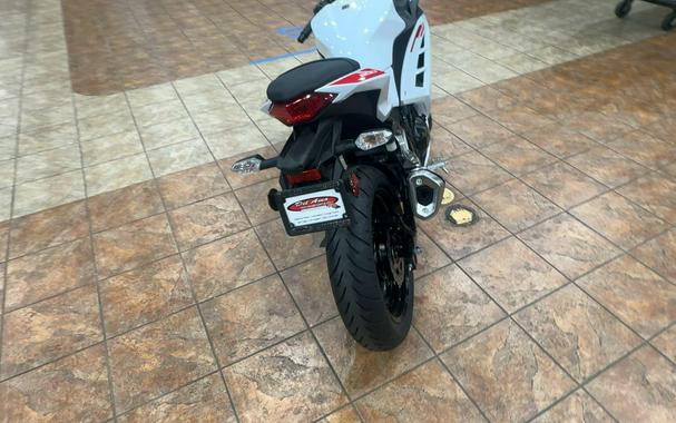 2026 Kawasaki NINJA 300 ABS
