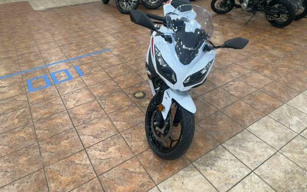 2026 Kawasaki NINJA 300 ABS