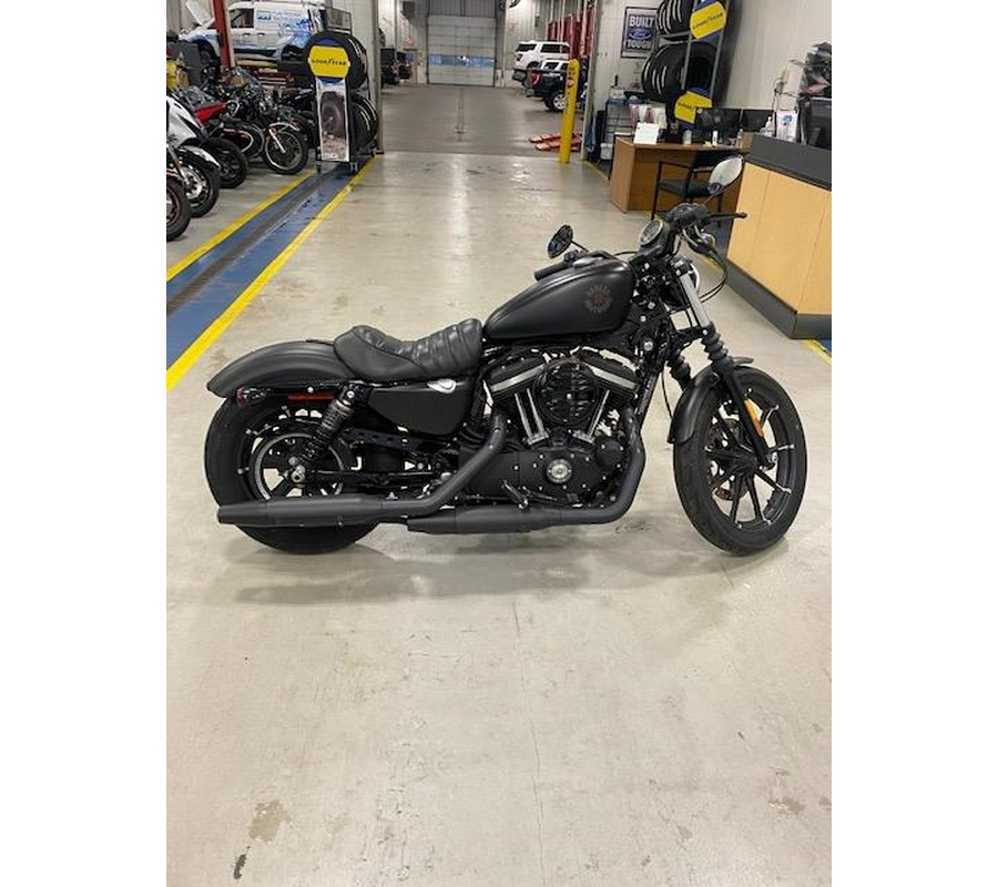 2019 Harley-Davidson® Iron 883™ - Color Option