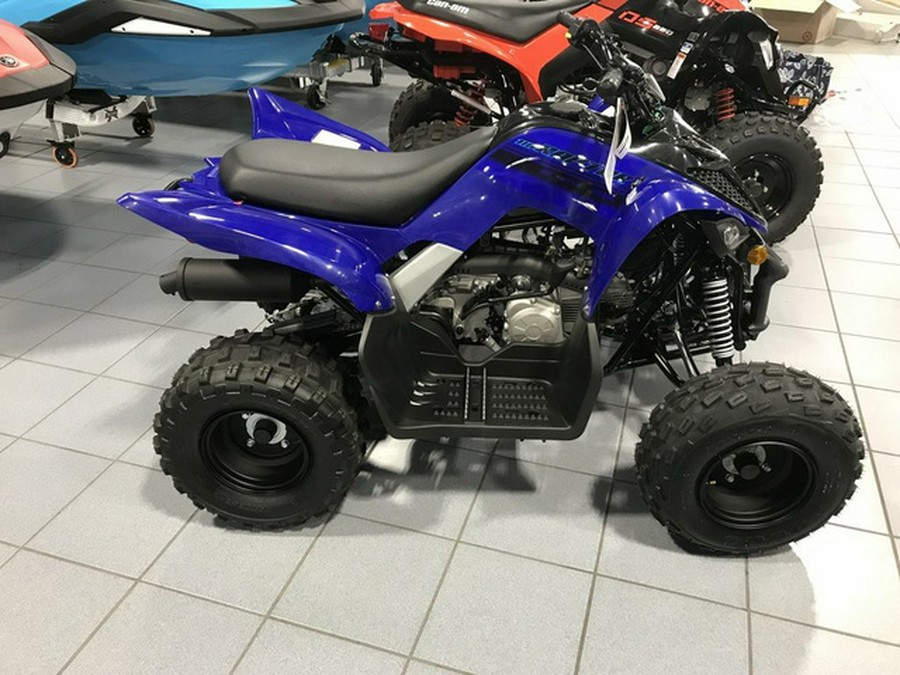 2026 Yamaha Raptor 110