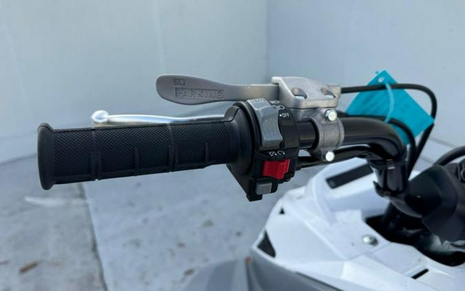 2026 Yamaha Raptor 700