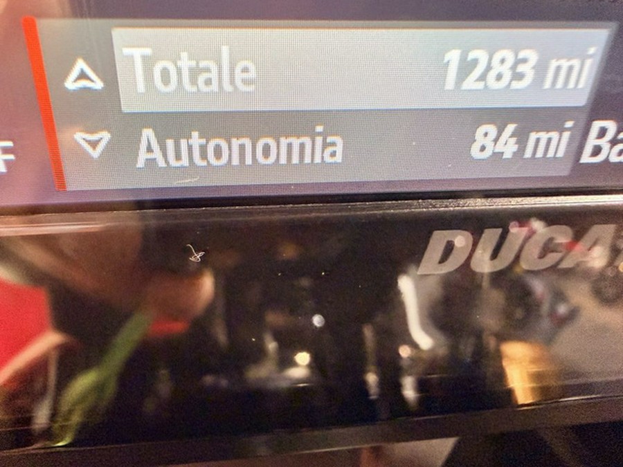 2024 Ducati DesertX Rally