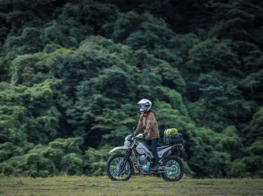 2026 Kawasaki KLX 230 SHERPA S ABS