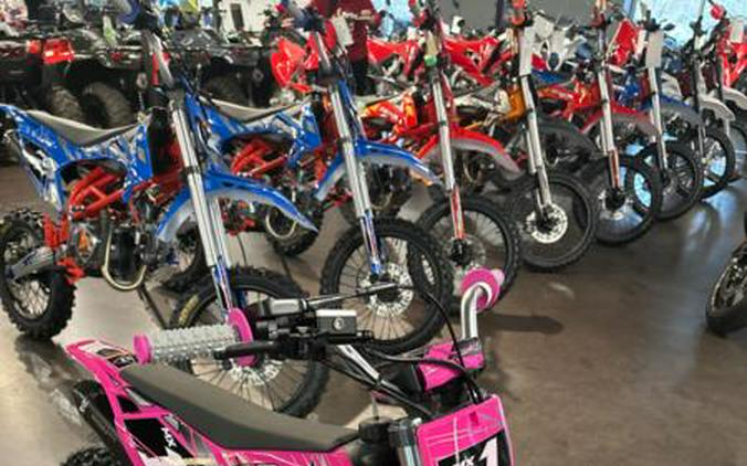 2026 Denago Powersports MX1