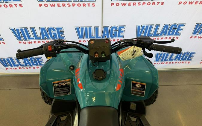 2026 Can-Am Renegade 110 EFI