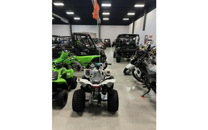 2025 Polaris Industries OUTLAW 110 EFI