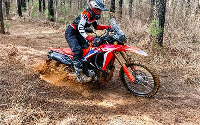 2023 Honda CRF300L Rally