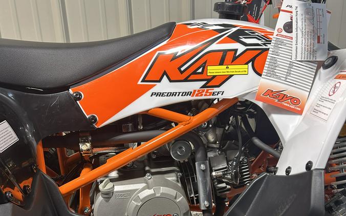 2026 Kayo Predator 125 EFI