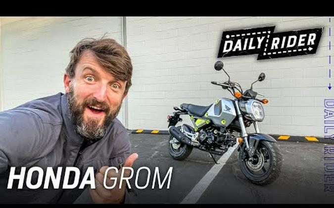 2022 Honda Grom Review | Daily Rider