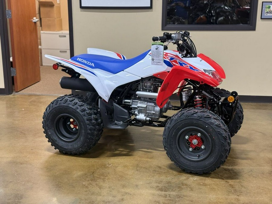 2026 Honda® TRX250X