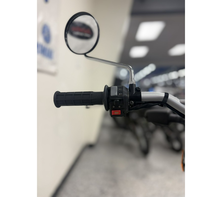 2026 Yamaha TW200 Gallant Gray - Y2699A